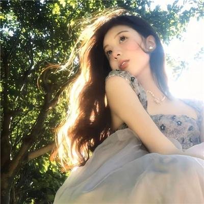 狐狸女士第二季